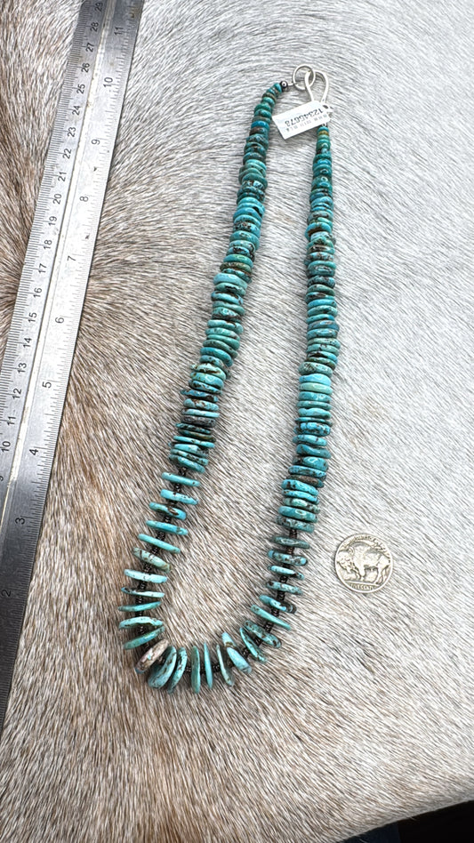 20" Turquoise Rondelle Necklace