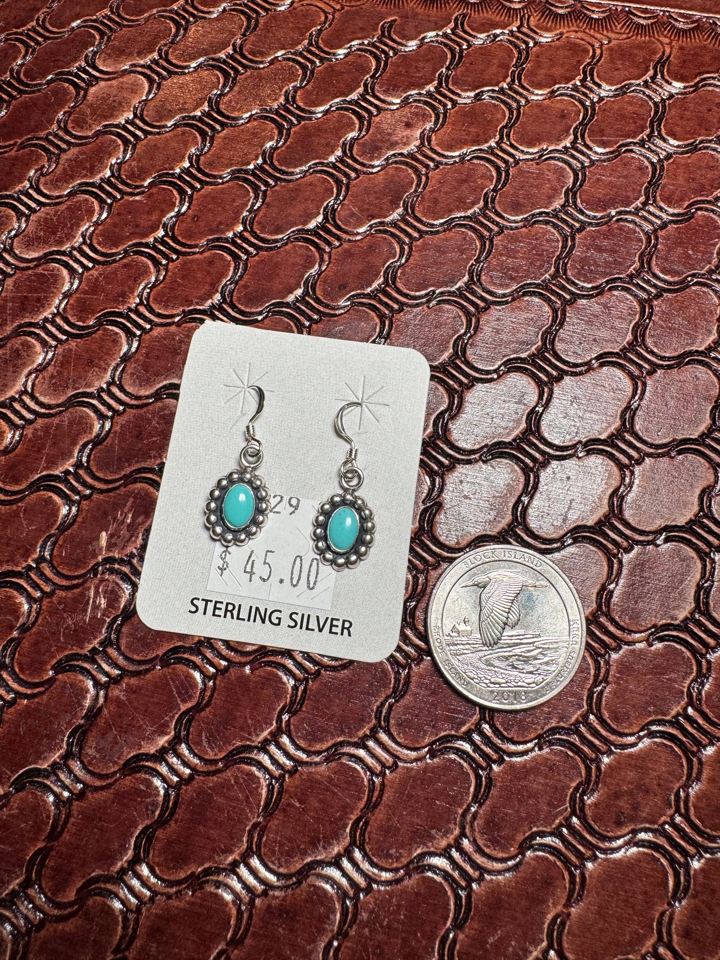 Turquoise Dotted Border Hook Earrings